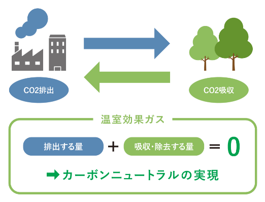 カーボンニュートラルの実現